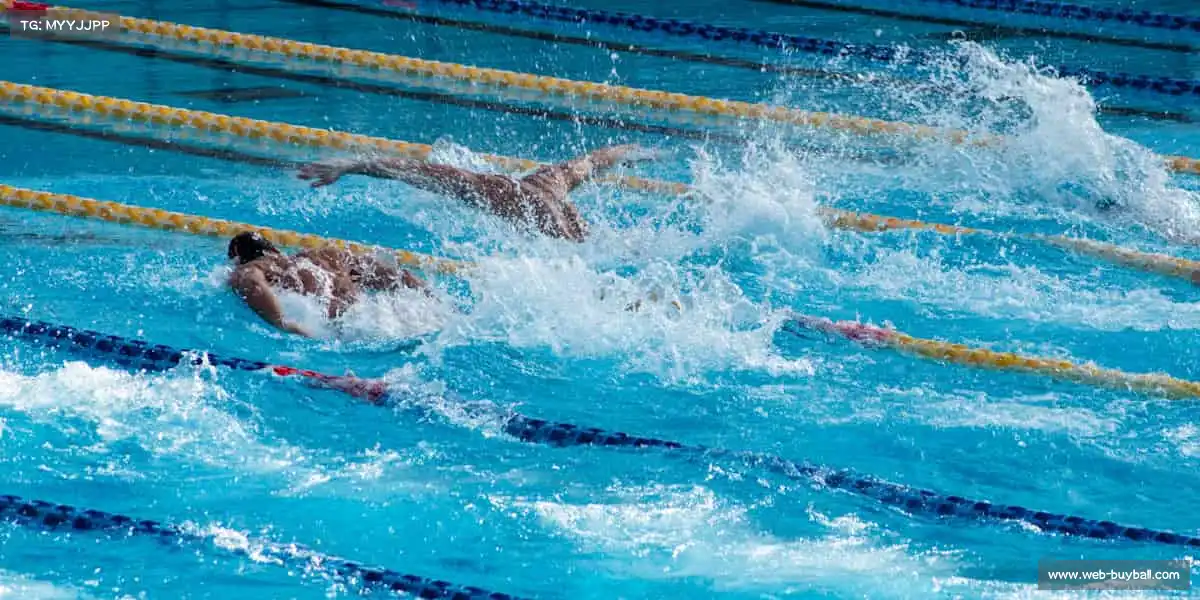 买球官方网站入口——⛷️单板滑雪，雪上冲浪！